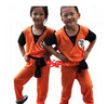 Kids Dragon Ball Z Son Goku Cosplay Costume